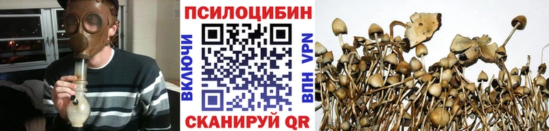 Псилоцибиновые грибы мицелий  Купить закладки  Георгиевск 